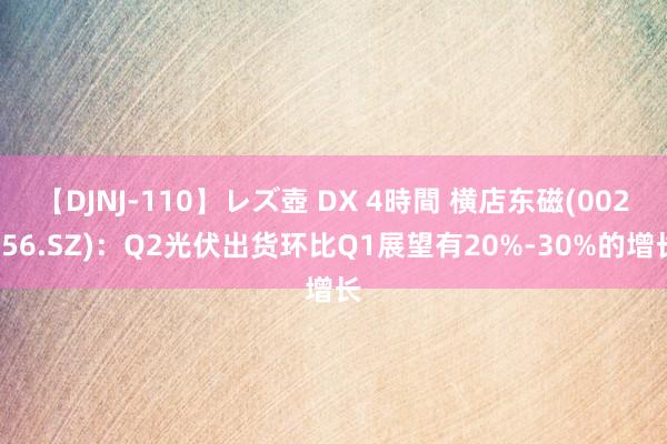 【DJNJ-110】レズ壺 DX 4時間 横店东磁(002056.SZ)：Q2光伏出货环比Q1展望有20%-30%的增长
