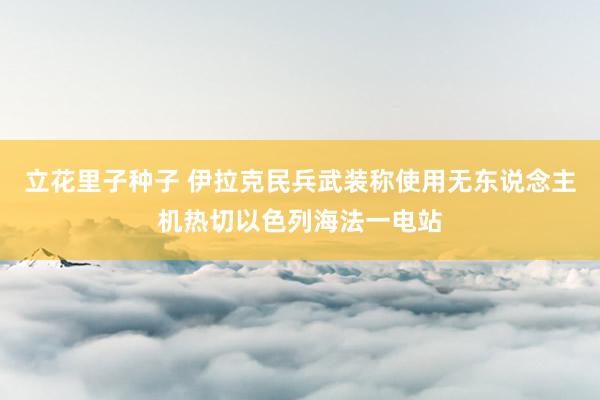 立花里子种子 伊拉克民兵武装称使用无东说念主机热切以色列海法一电站