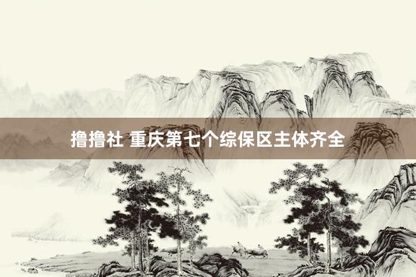撸撸社 重庆第七个综保区主体齐全