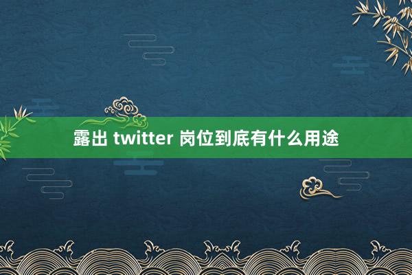 露出 twitter 岗位到底有什么用途