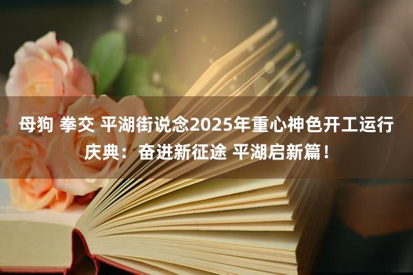 母狗 拳交 平湖街说念2025年重心神色开工运行庆典：奋进新征途 平湖启新篇！