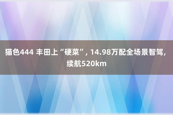 猫色444 丰田上“硬菜”, 14.98万配全场景智驾, 续航520km