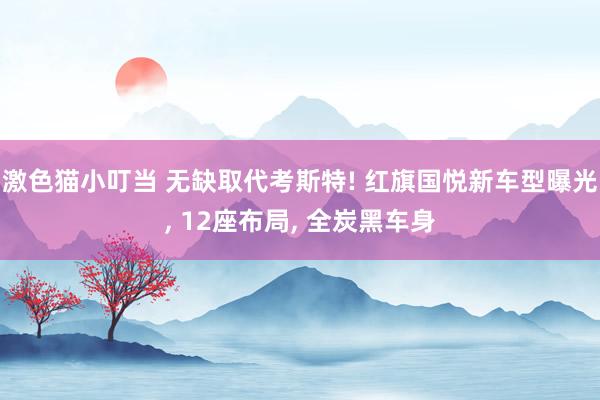 激色猫小叮当 无缺取代考斯特! 红旗国悦新车型曝光, 12座布局, 全炭黑车身
