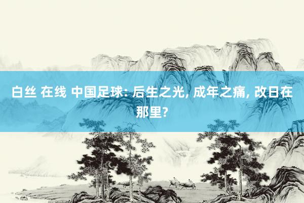 白丝 在线 中国足球: 后生之光, 成年之痛, 改日在那里?