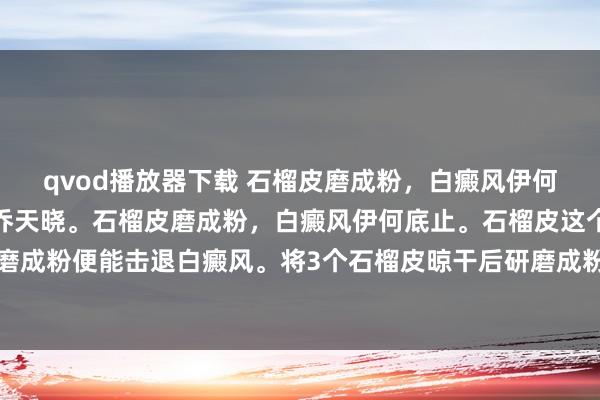 qvod播放器下载 石榴皮磨成粉，白癜风伊何底止。皮肤科主任大夫乔天晓。石榴皮磨成粉，白癜风伊何底止。石榴皮这个小矿藏只需要粗浅磨成粉便能击退白癜风。将3个石榴皮晾干后研磨成粉，再与香油澌灭成糊状涂抹在白斑上，用纱...