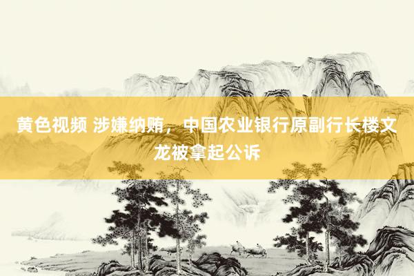 黄色视频 涉嫌纳贿，中国农业银行原副行长楼文龙被拿起公诉