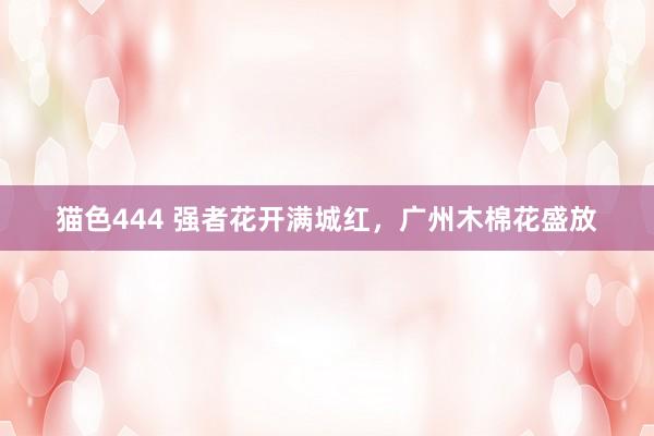 猫色444 强者花开满城红，广州木棉花盛放